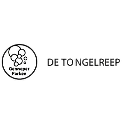 De Tongelreep Eindhoven - client logo